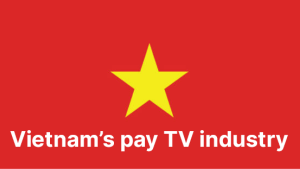 Vietnam's pay TV industry 2024