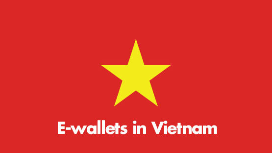 Vietnam E-wallet Report And Prediction 2017-2025